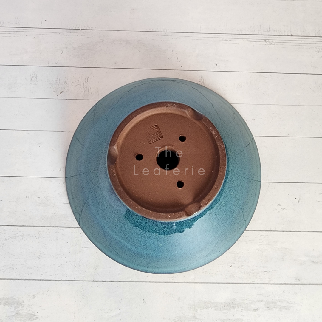 Tally Bonsai Flowerpot (Series 1)