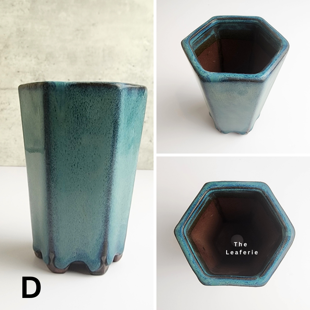 Bonsai Flowerpot (Series 26) Blue Theme