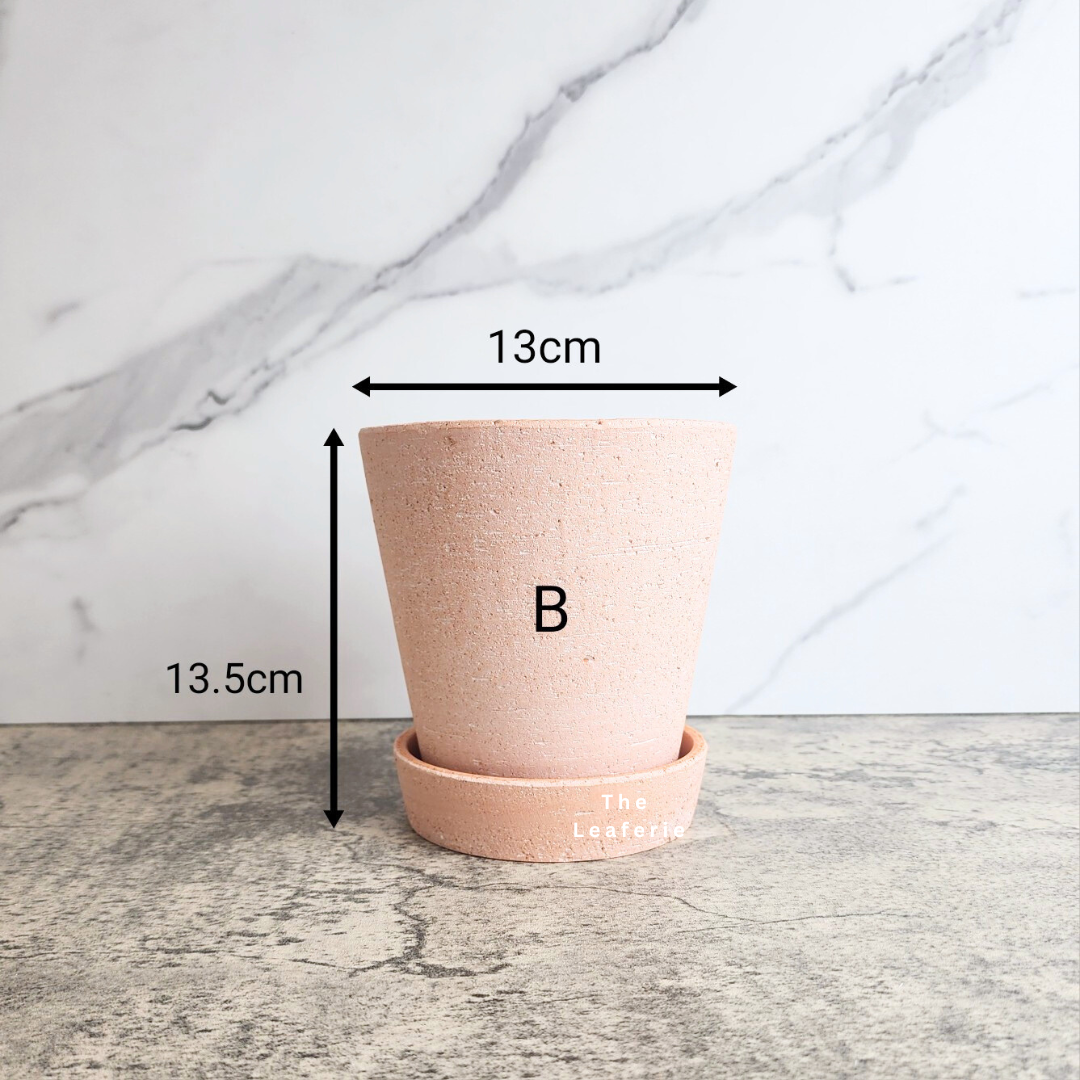 Yael Terracotta Flowerpot (3 sizes)