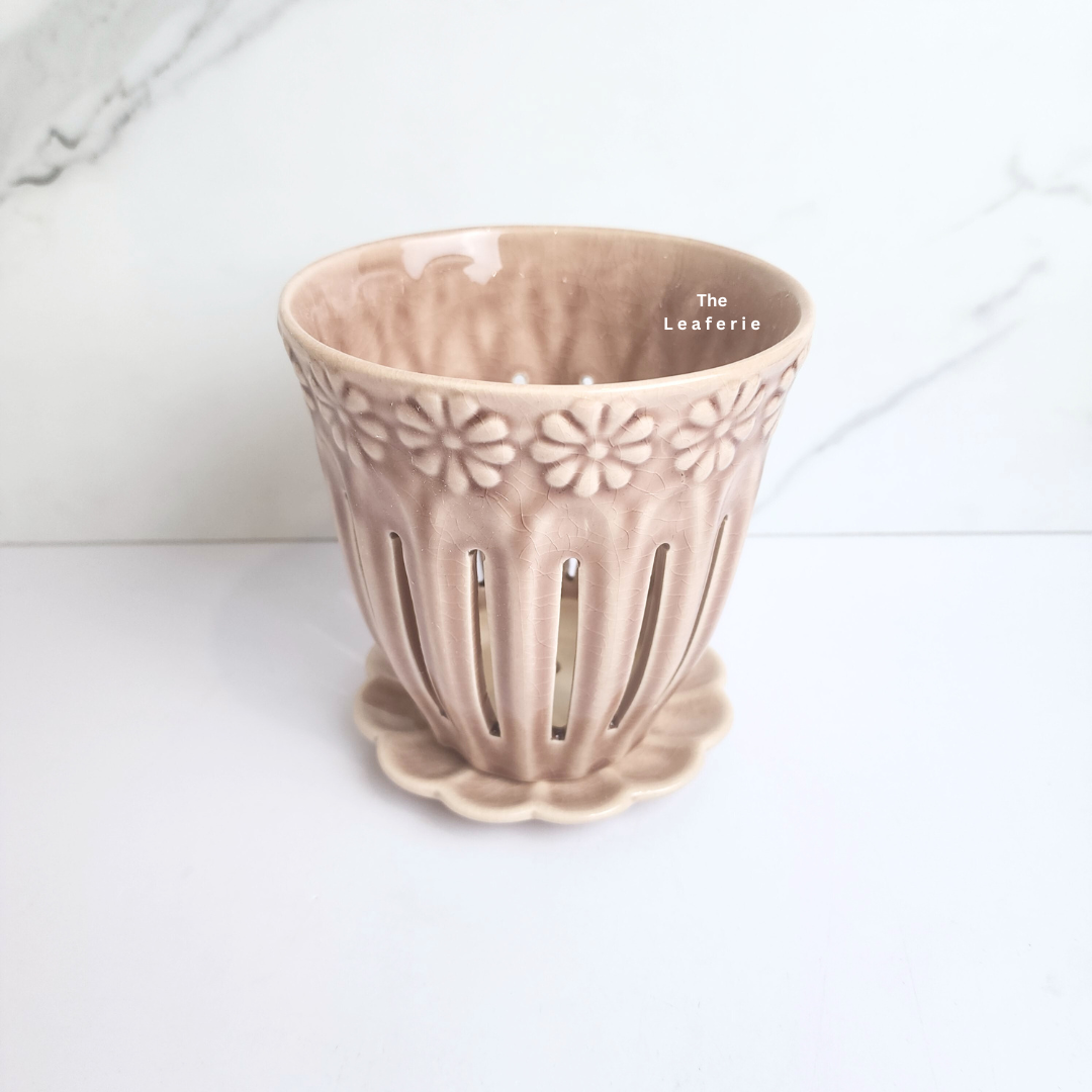 Leia Orchid Flowerpot