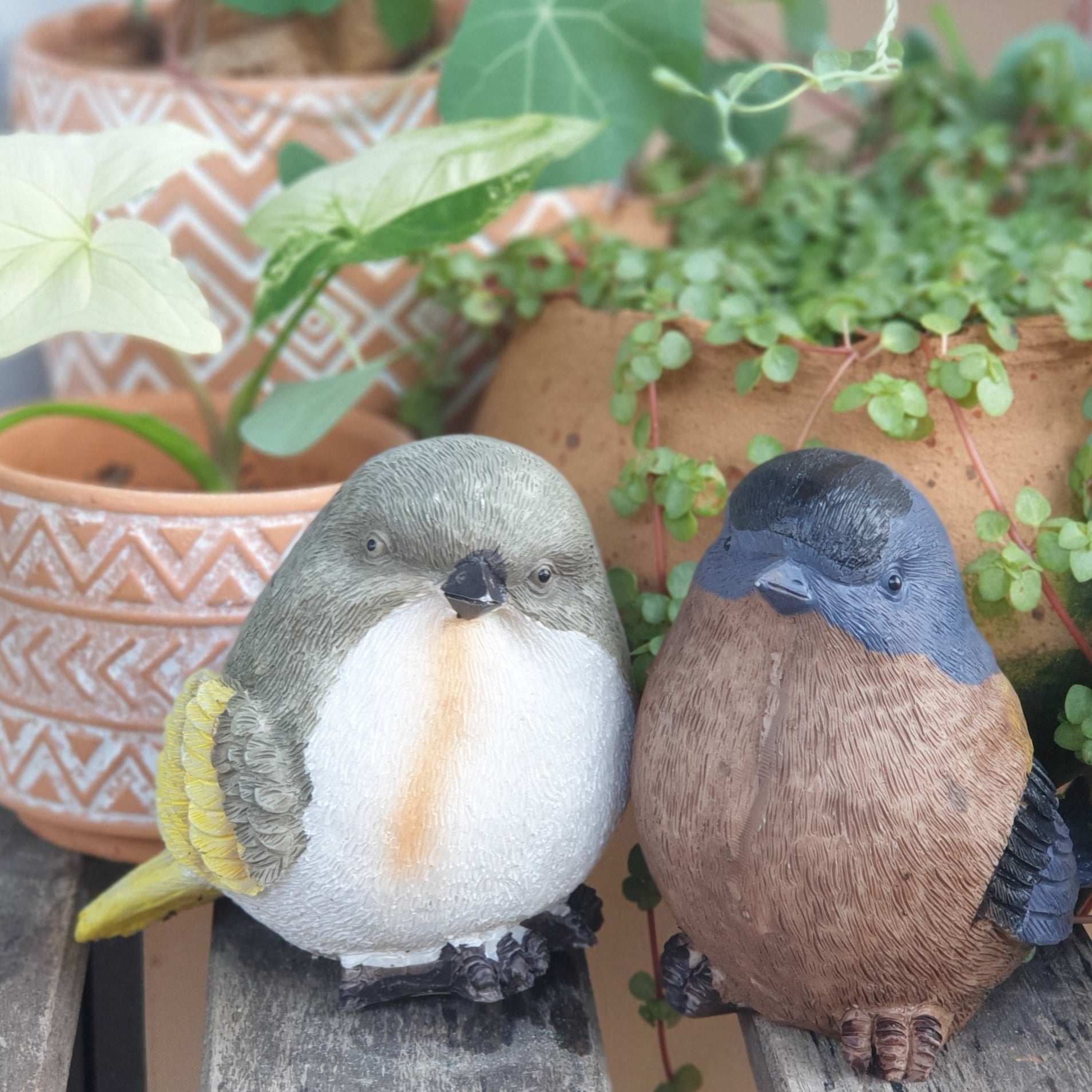 Birds Garden Decorations (Set of 6 birds)