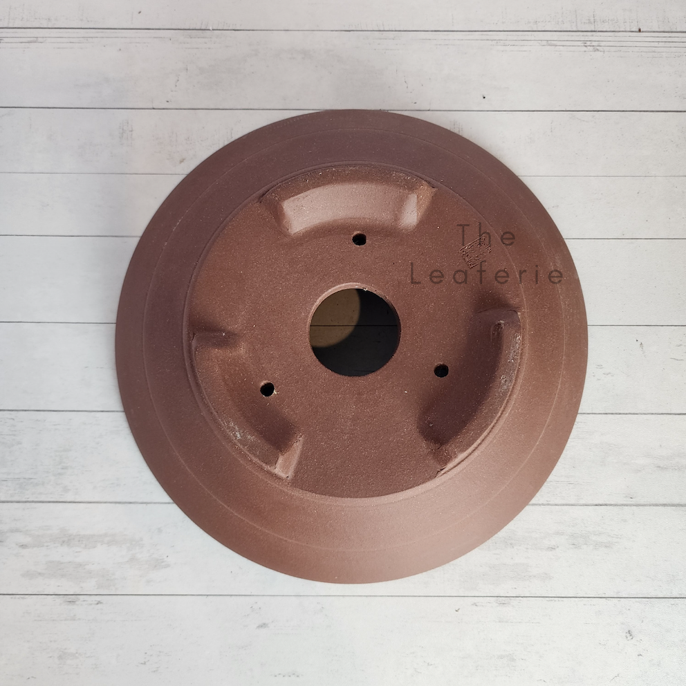 Bonsai Flowerpot / Tray (Series 5) 5 Sizes