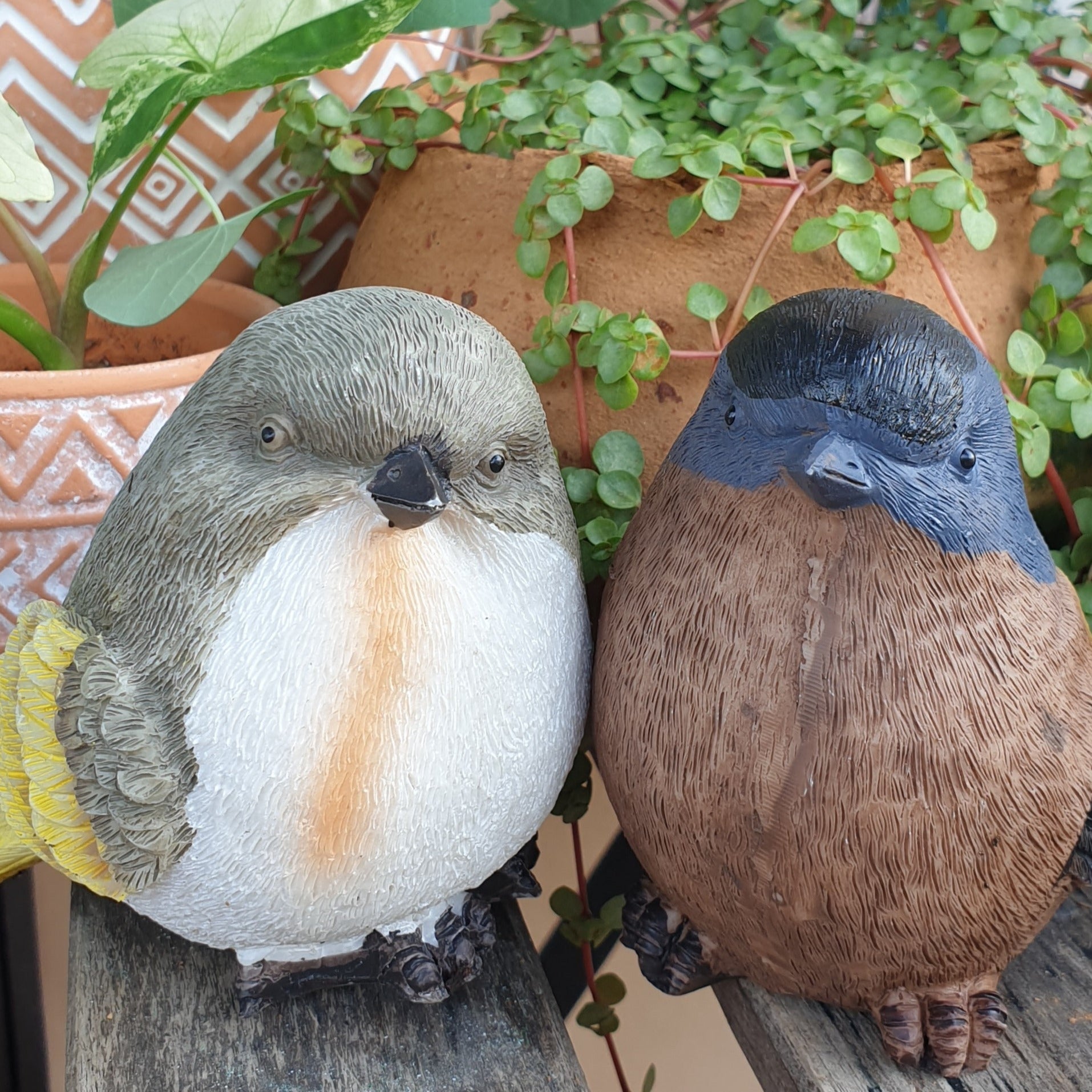 Birds Garden Decorations (Set of 6 birds)