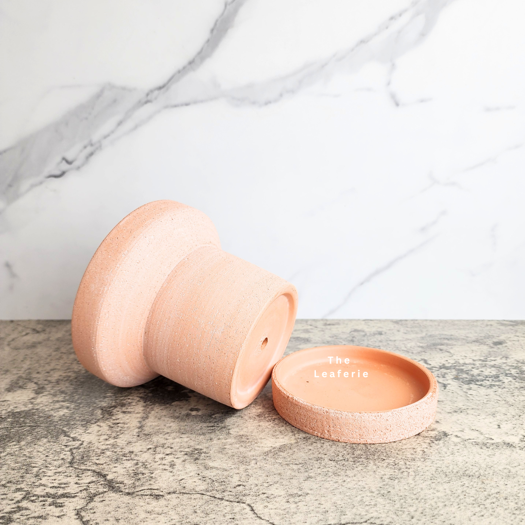 Yara Terracotta Flowerpot with Tray