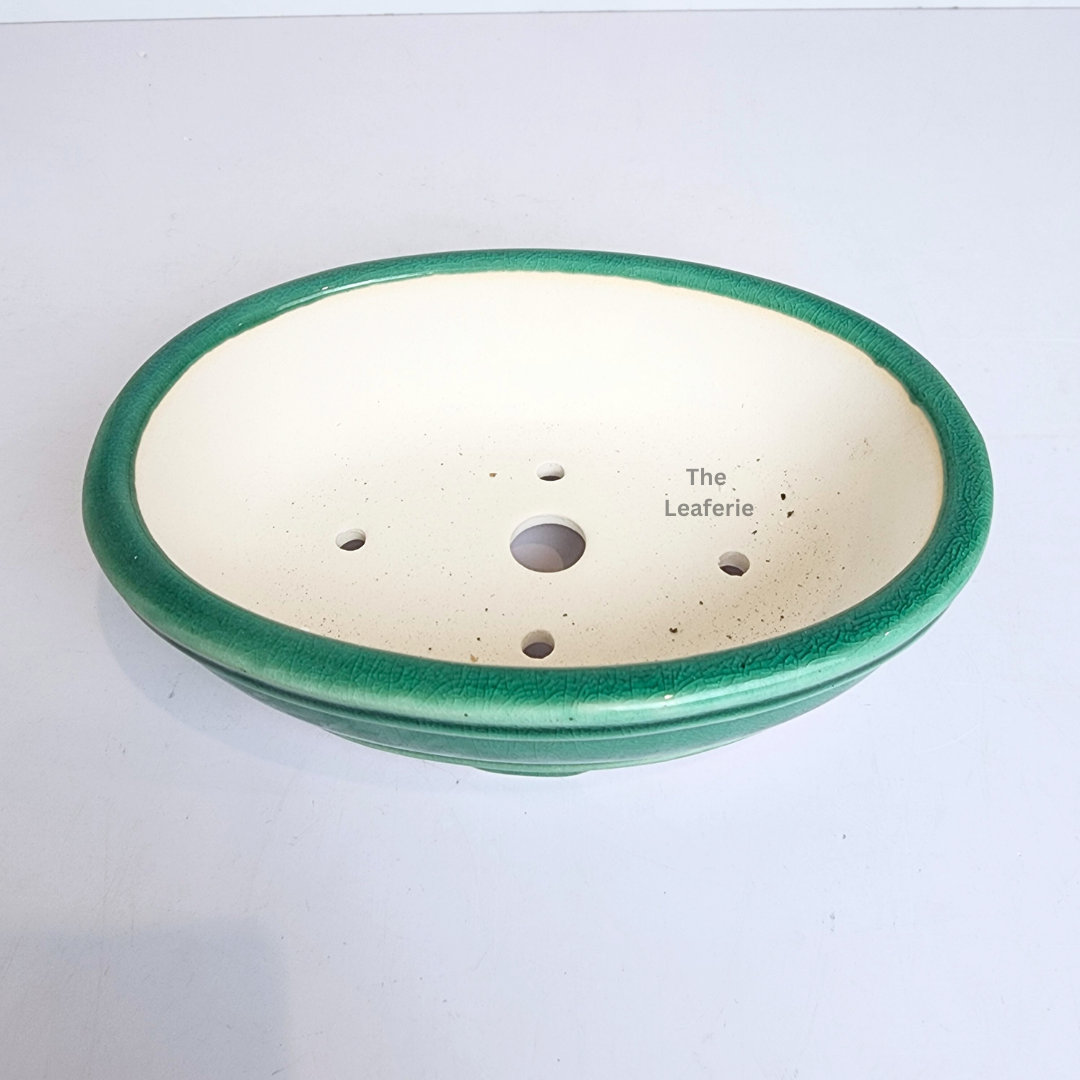 Bonsai Flowerpot (Series 63) Oval