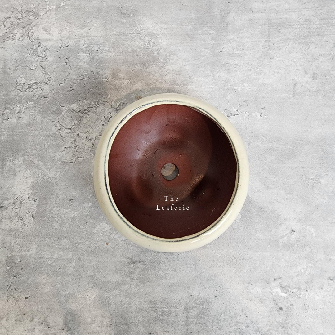 Bonsai Flowerpot (Series 25)