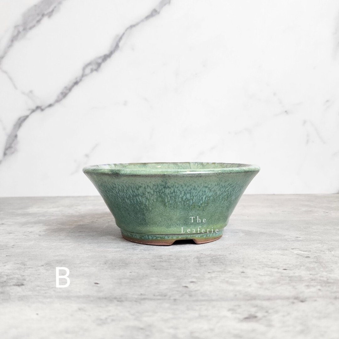 Bonsai Flowerpots (Series 23)