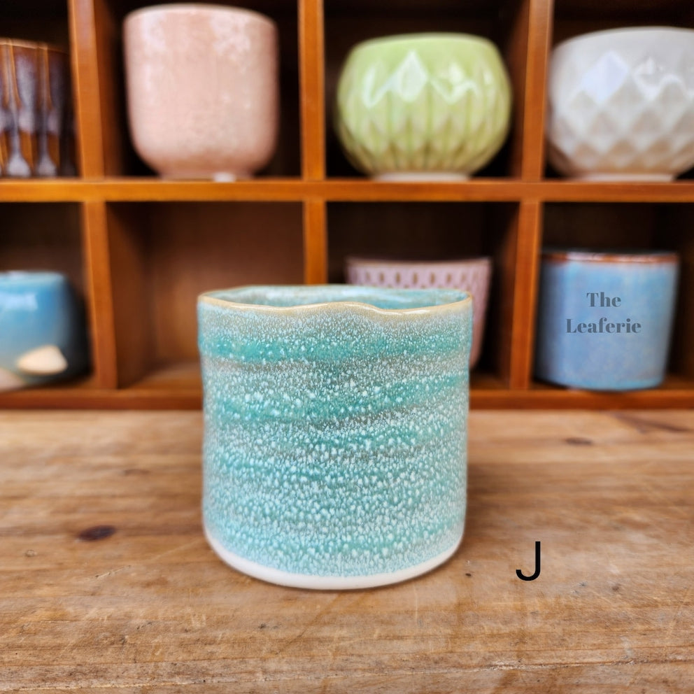 Petit Flowerpots (Series 6)