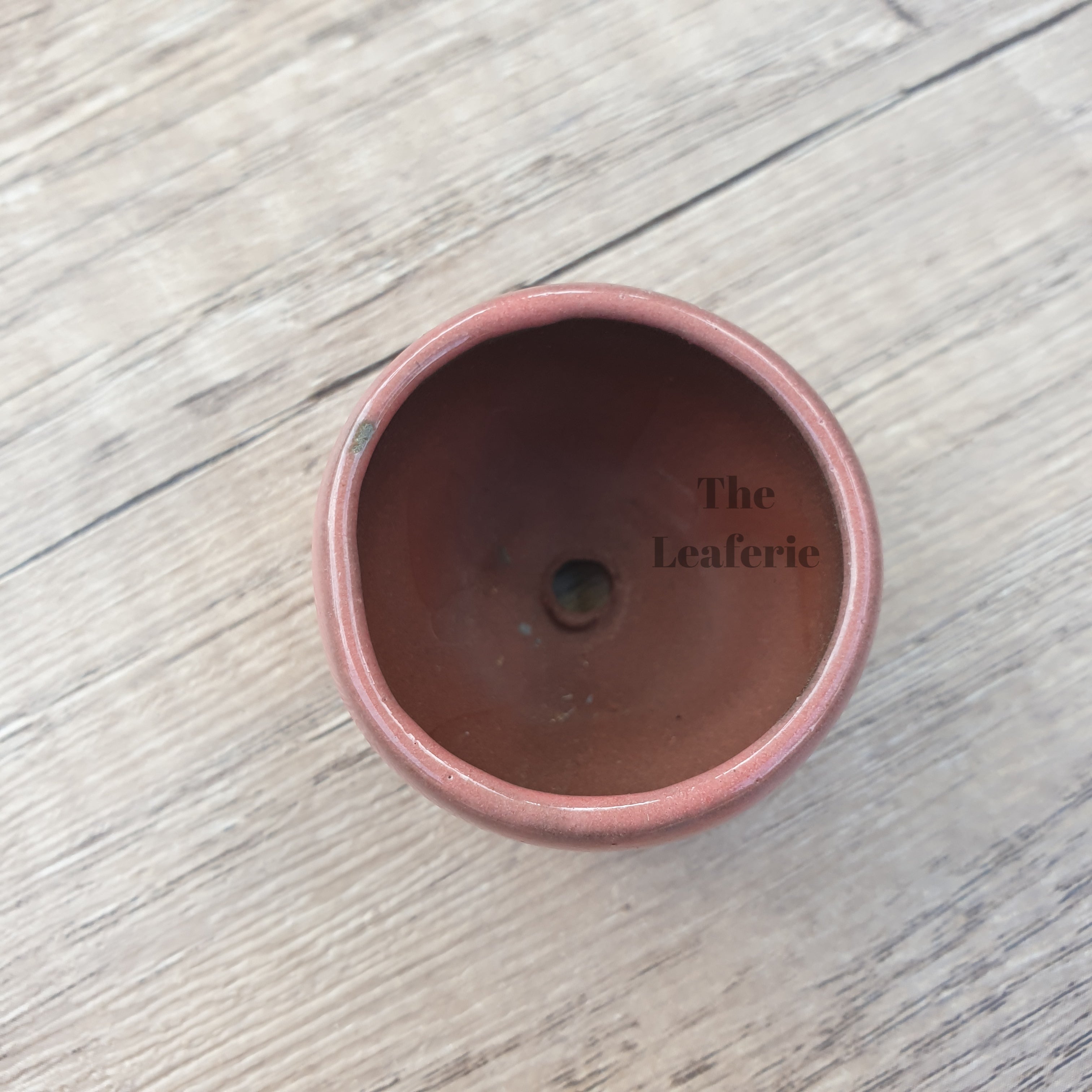 Petit Bonsai Pot (Series 8)