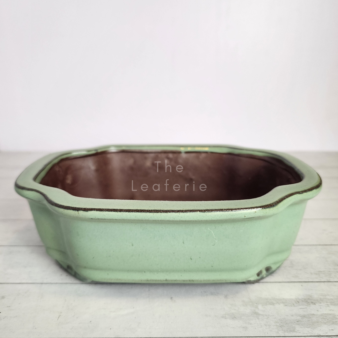Tally Bonsai Flowerpot (Series 1)