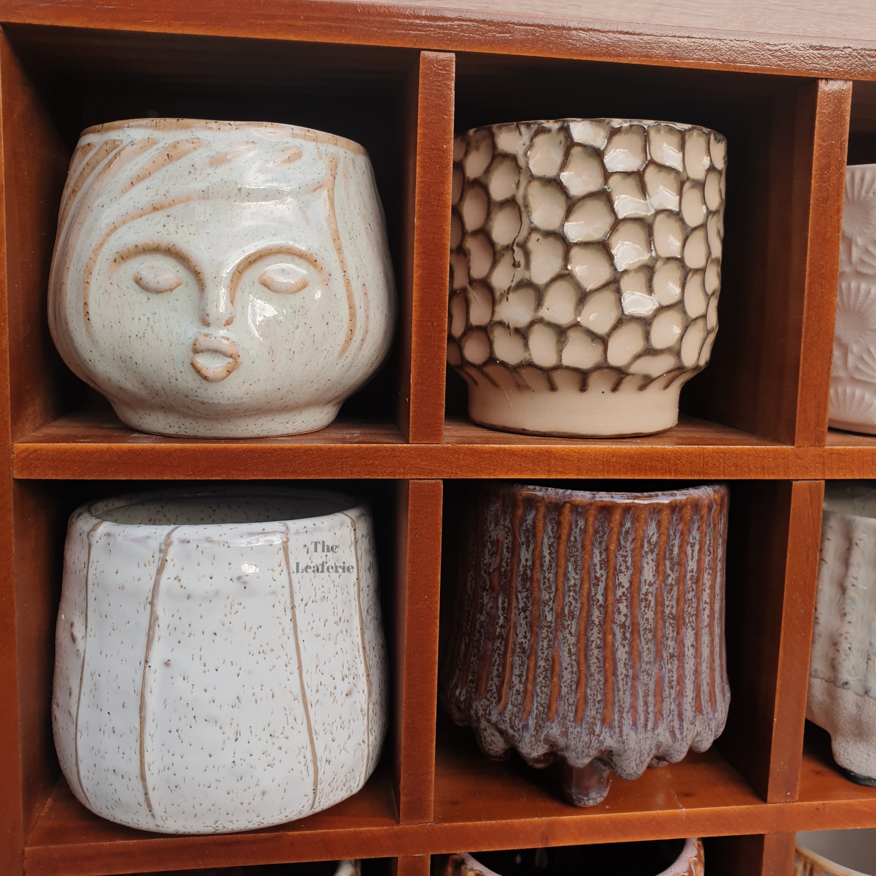 Petit Flowerpots (Series 2)