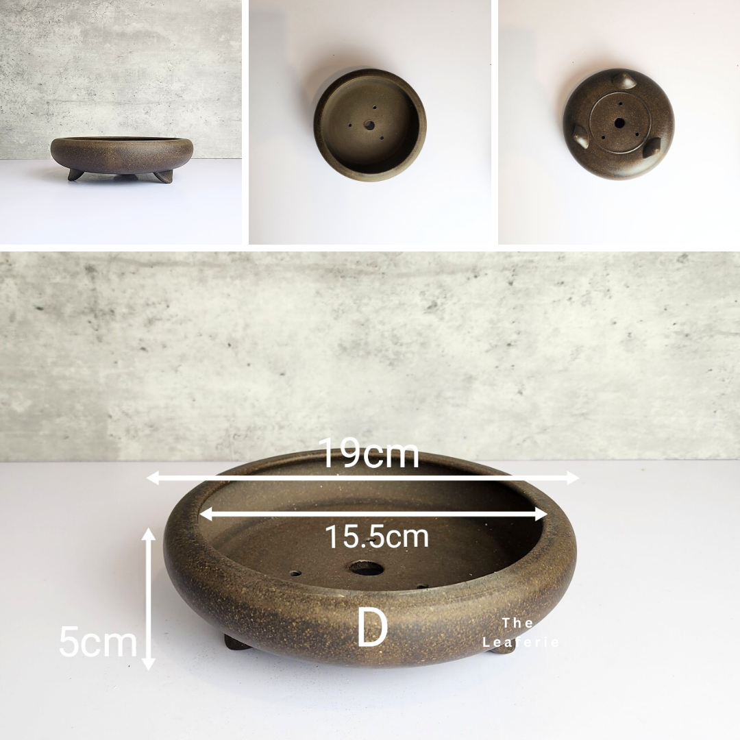 Bonsai Tray / Flowerpot (Series 3)