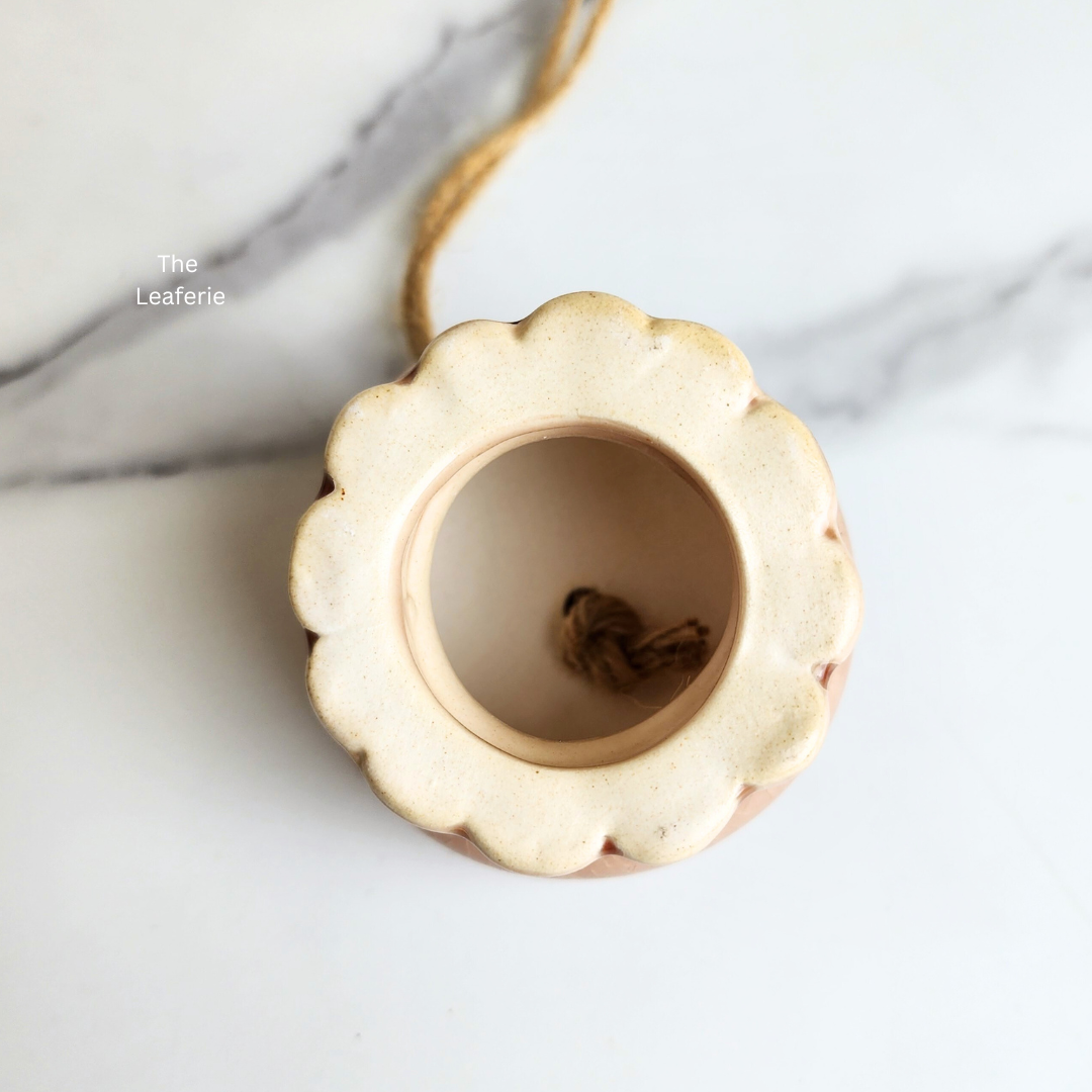 Tilly Airplant Holder