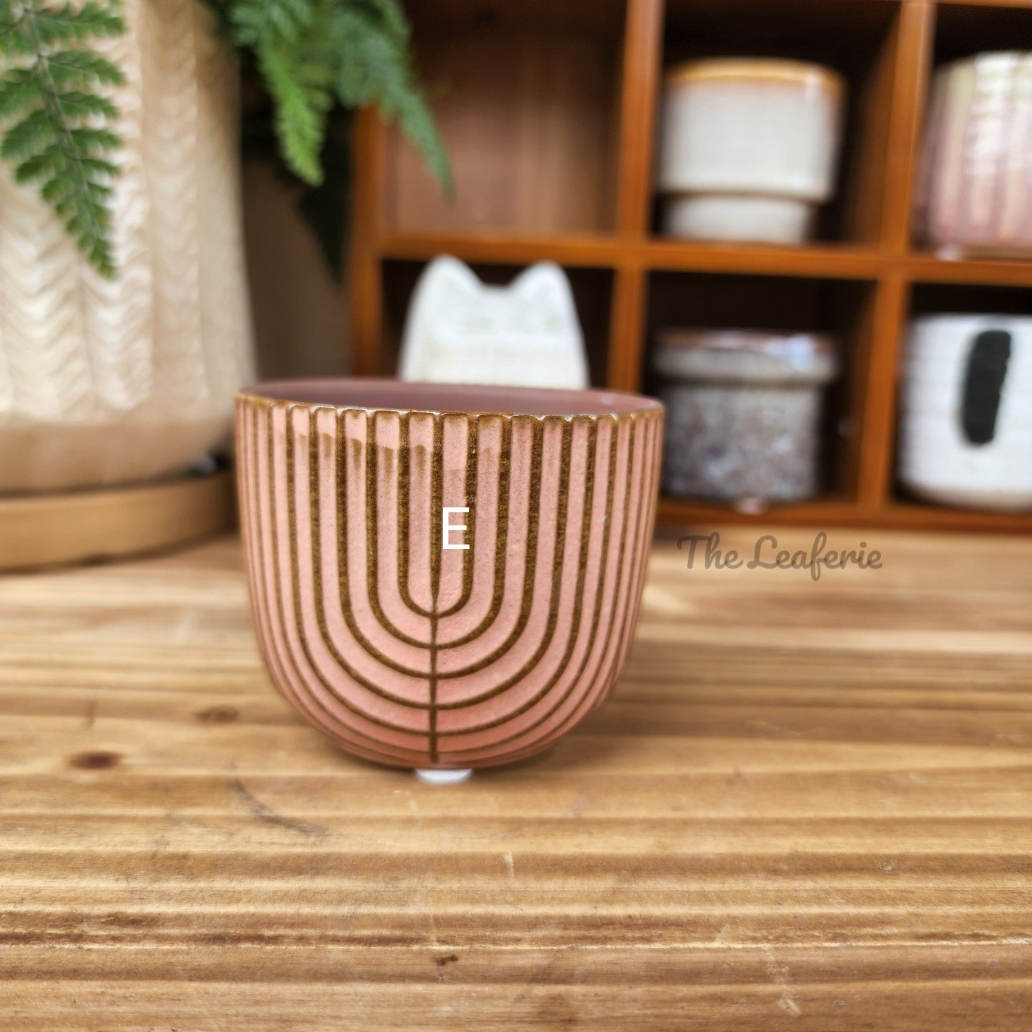 Petit Flowerpots (Series 5)