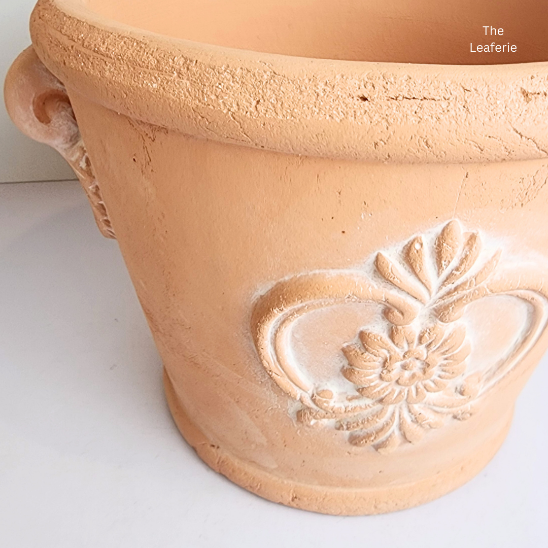 York Terracotta Big Flowerpot