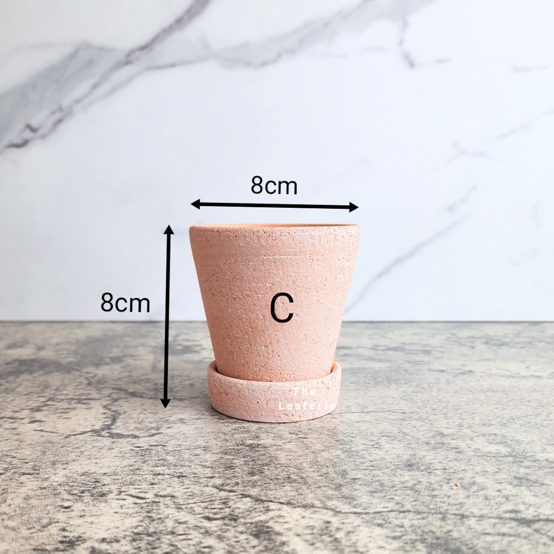 Yael Terracotta Flowerpot (3 sizes)