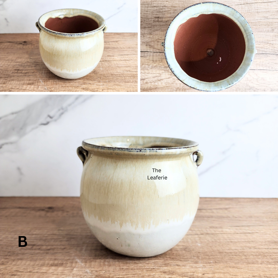 Sanrevelle Flowerpot (5 colours)