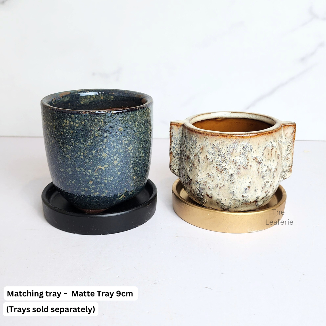 Petit Flowerpots (Series 19)