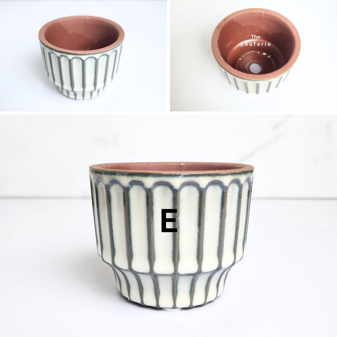 Petit Flowerpots (Series 17)