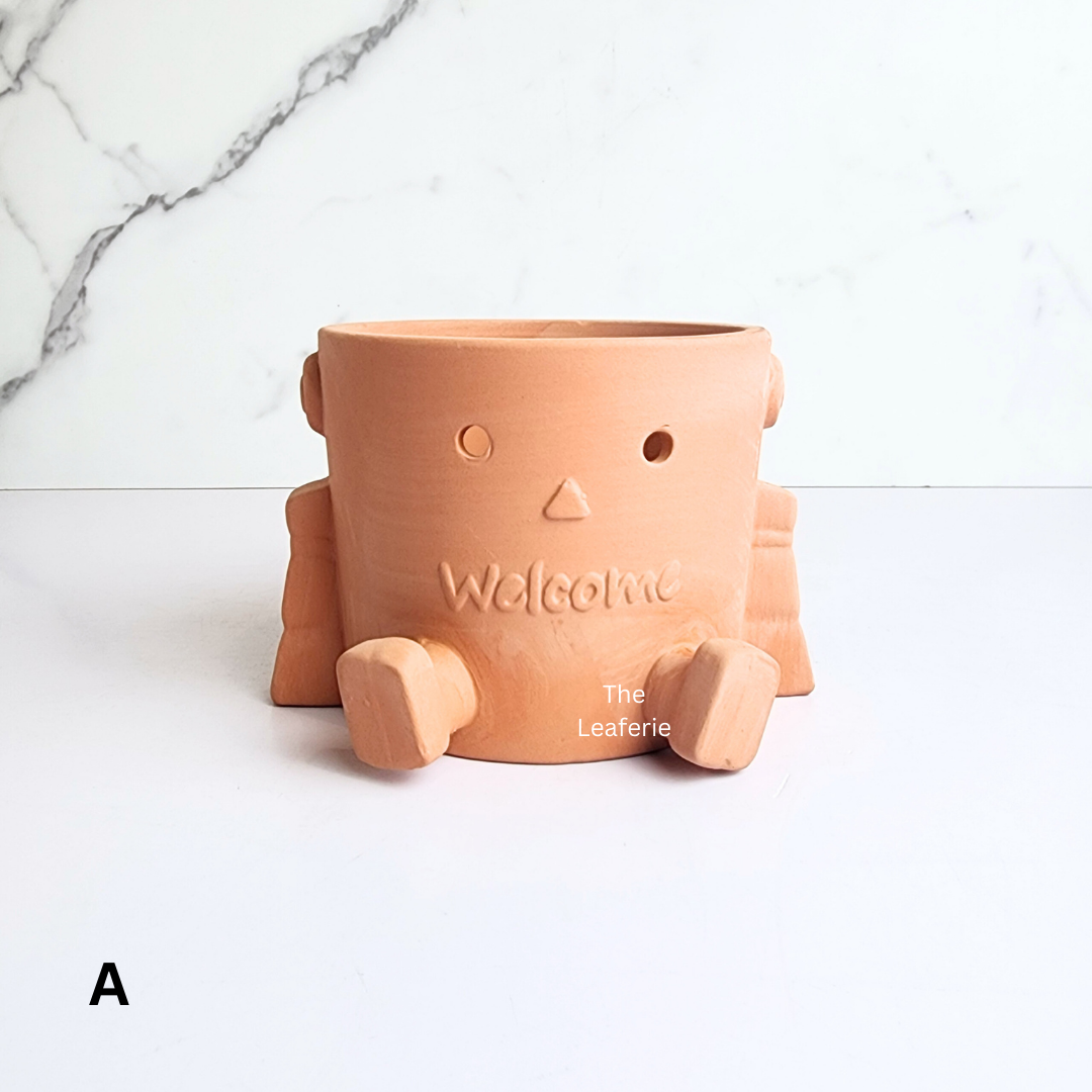 Yandel Terracotta Flowerpot ( 2 designs)