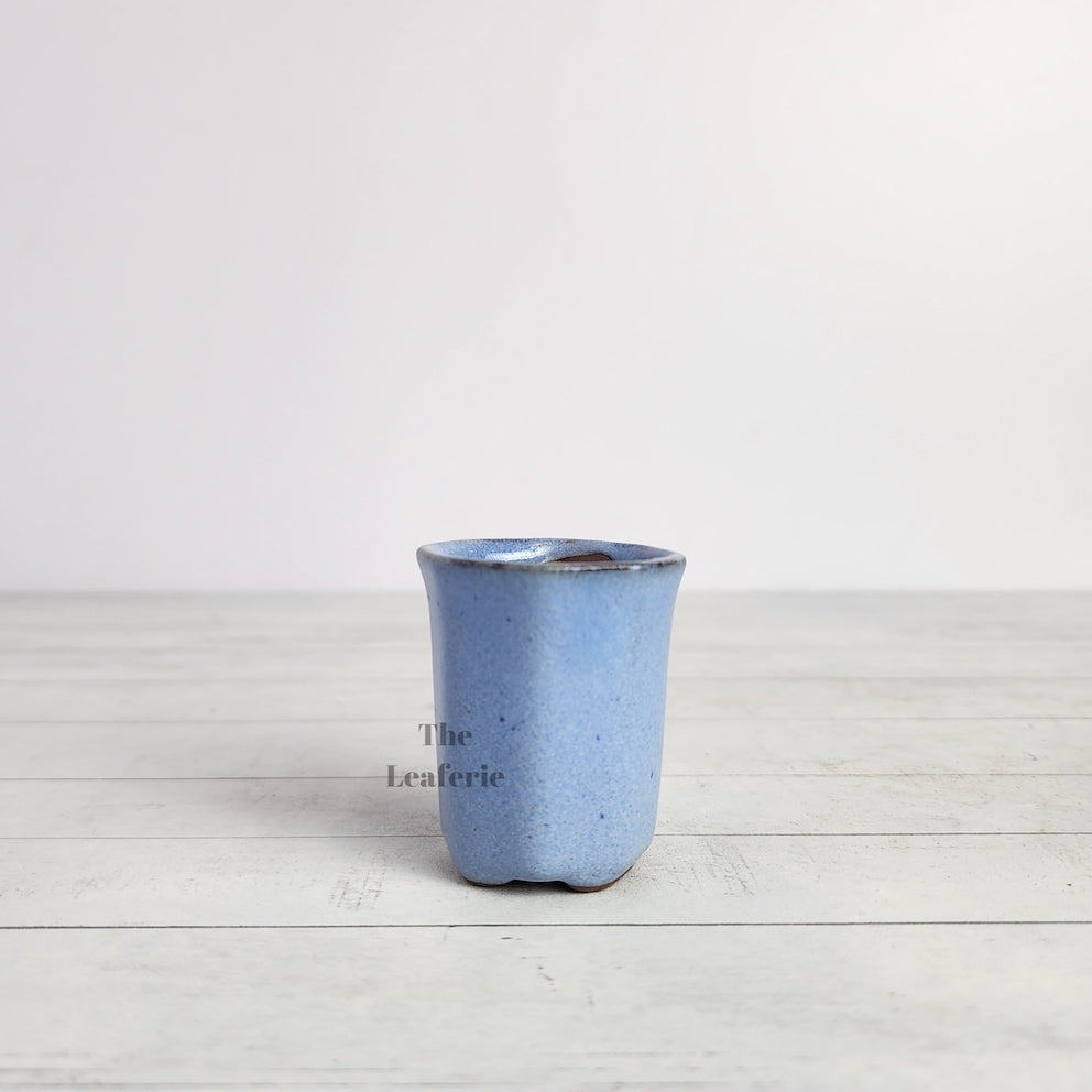 Petit Bonsai Pot (Series 7)