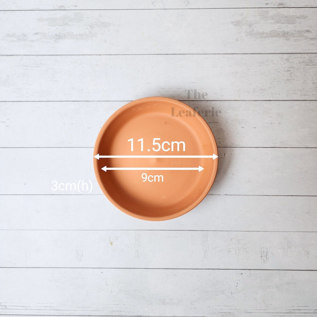 Terracotta Round Trays (7 Sizes)