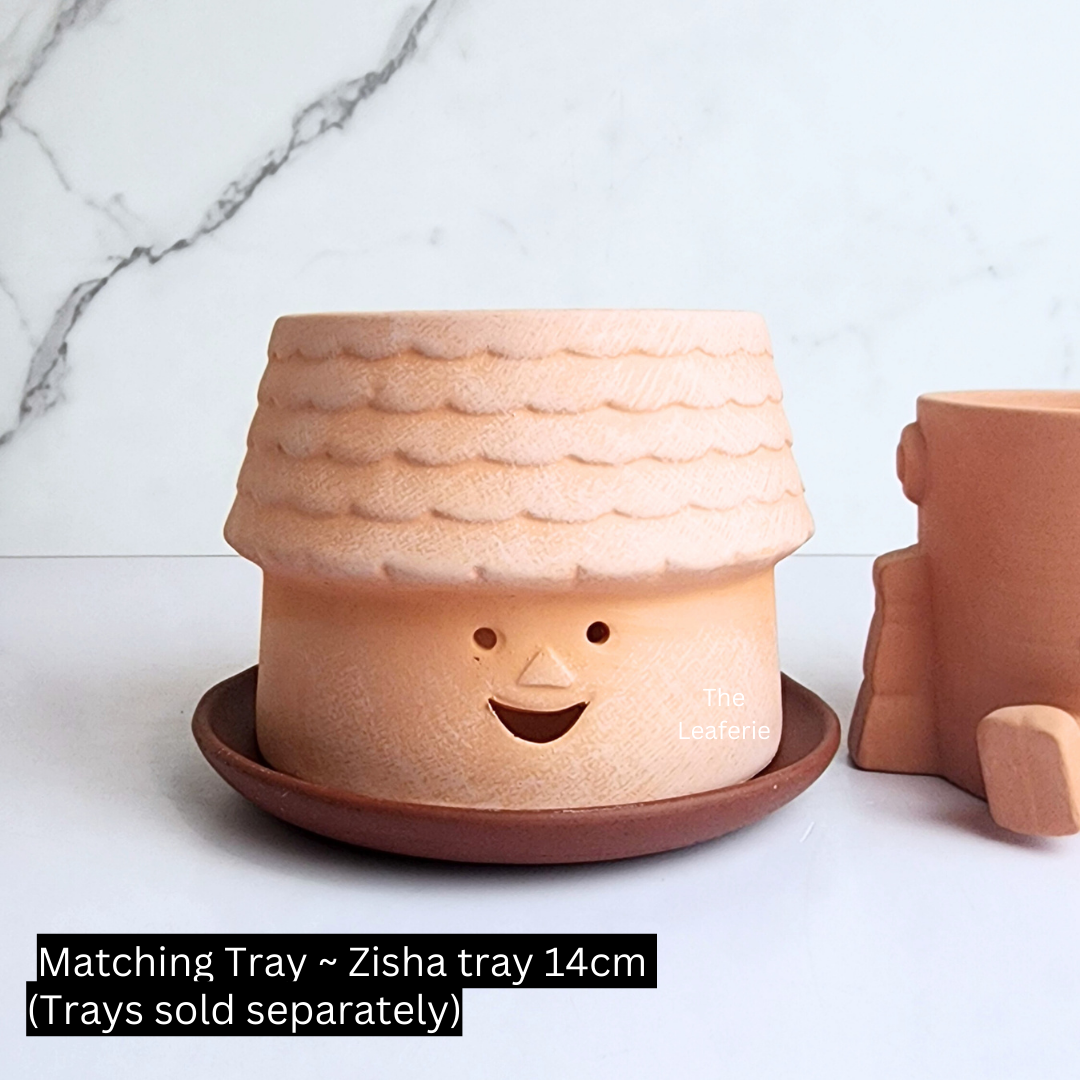 Yandel Terracotta Flowerpot ( 2 designs)