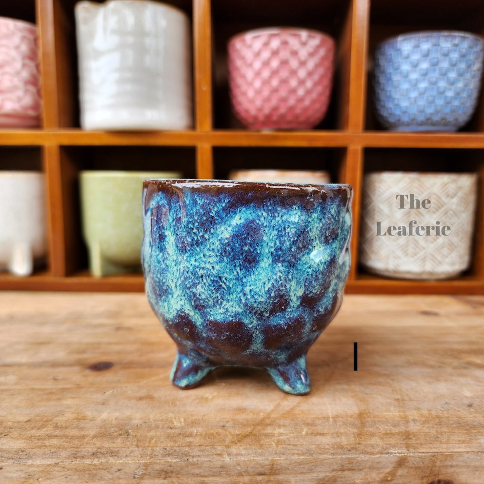 Petit Flowerpots (Series 7)