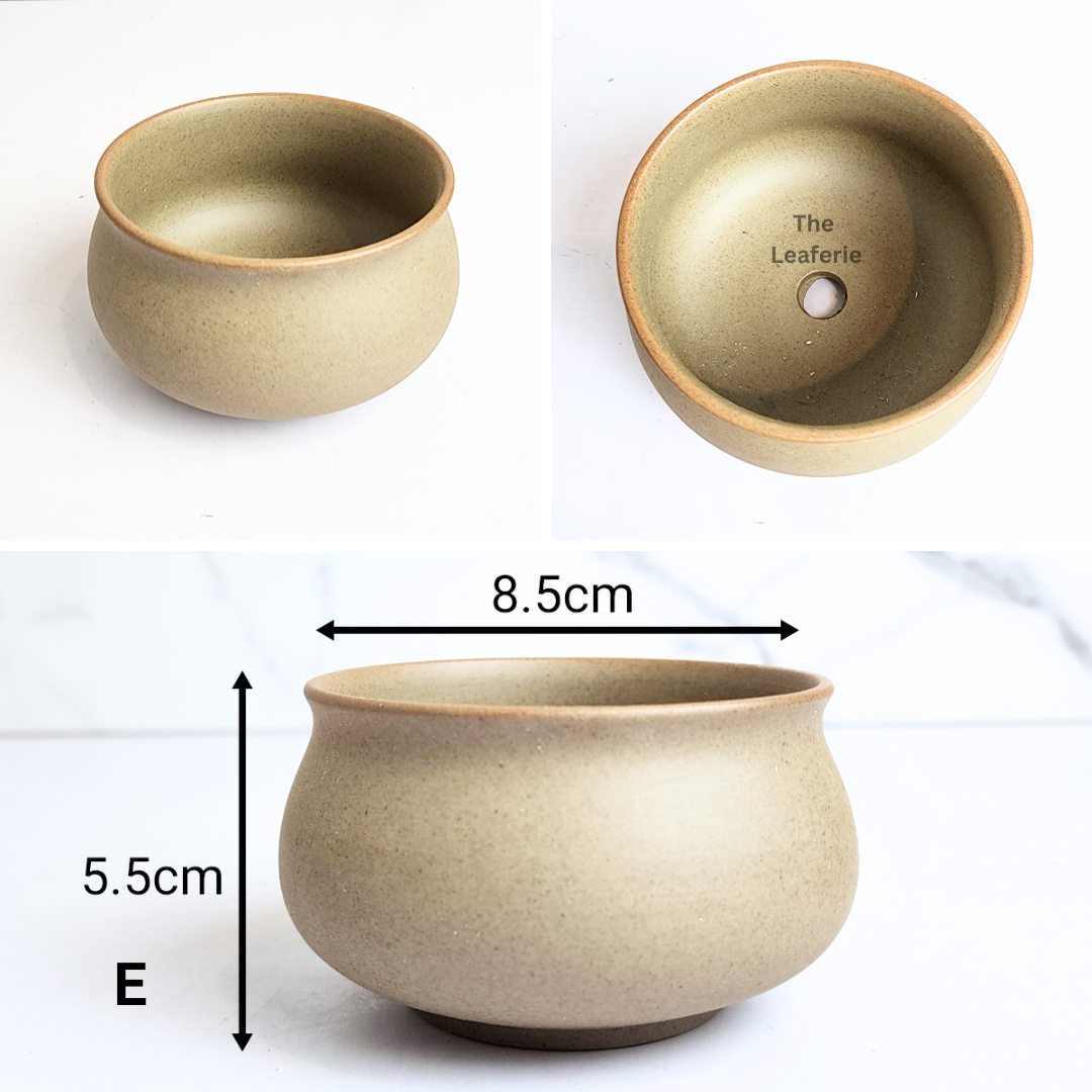 Yale Flowerpot (6 designs)