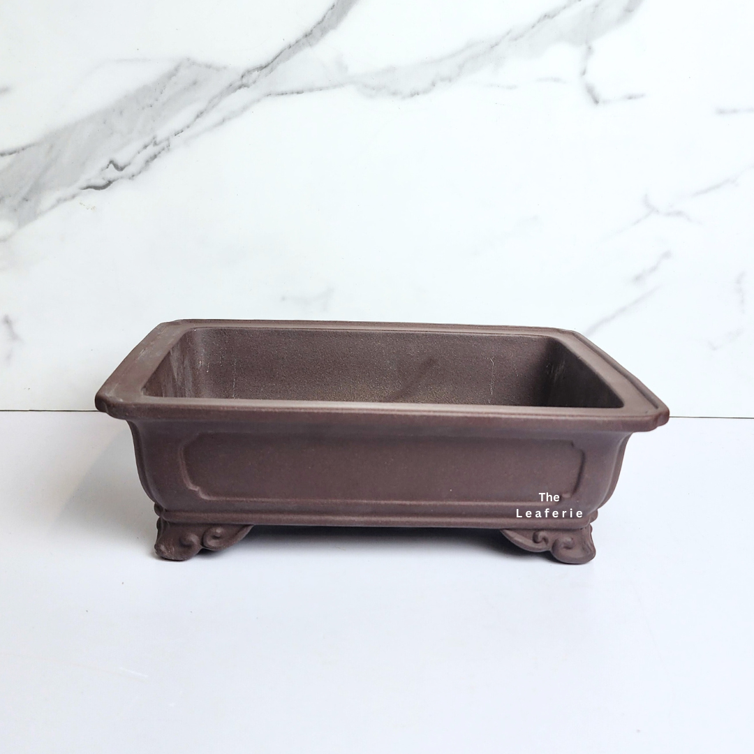 Bonsai Tally (Series 6) Rectangular Flowerpot