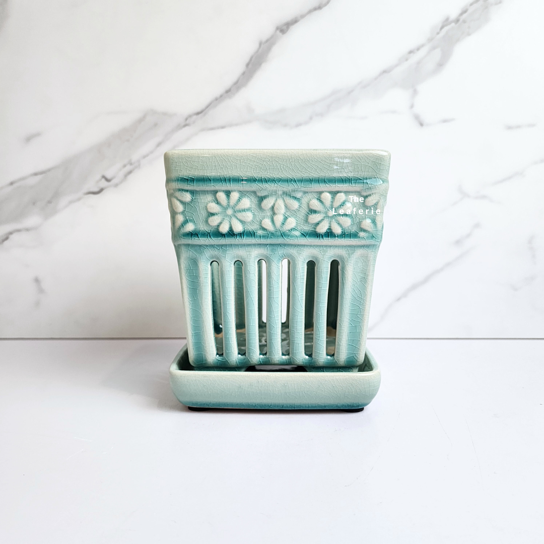 Leia Orchid Flowerpot with Tray (Series 2)