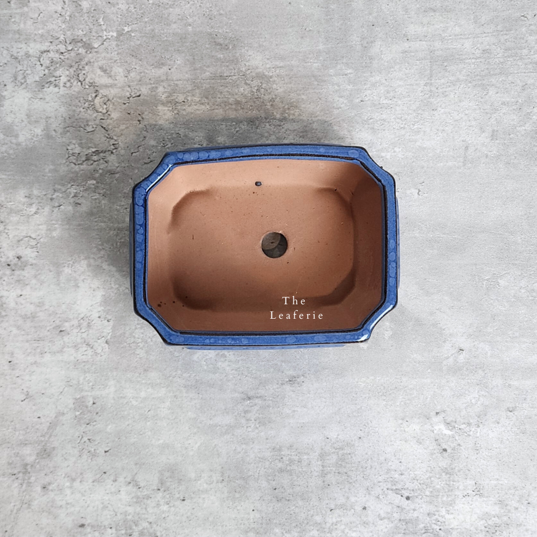 Bonsai Flowerpot (Series 22)