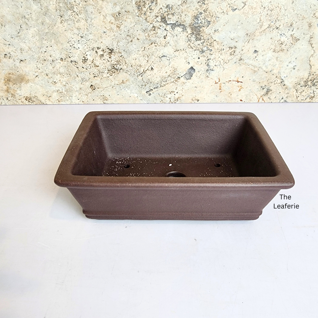 Bonsai Rectangular (Series 3) Flowerpot
