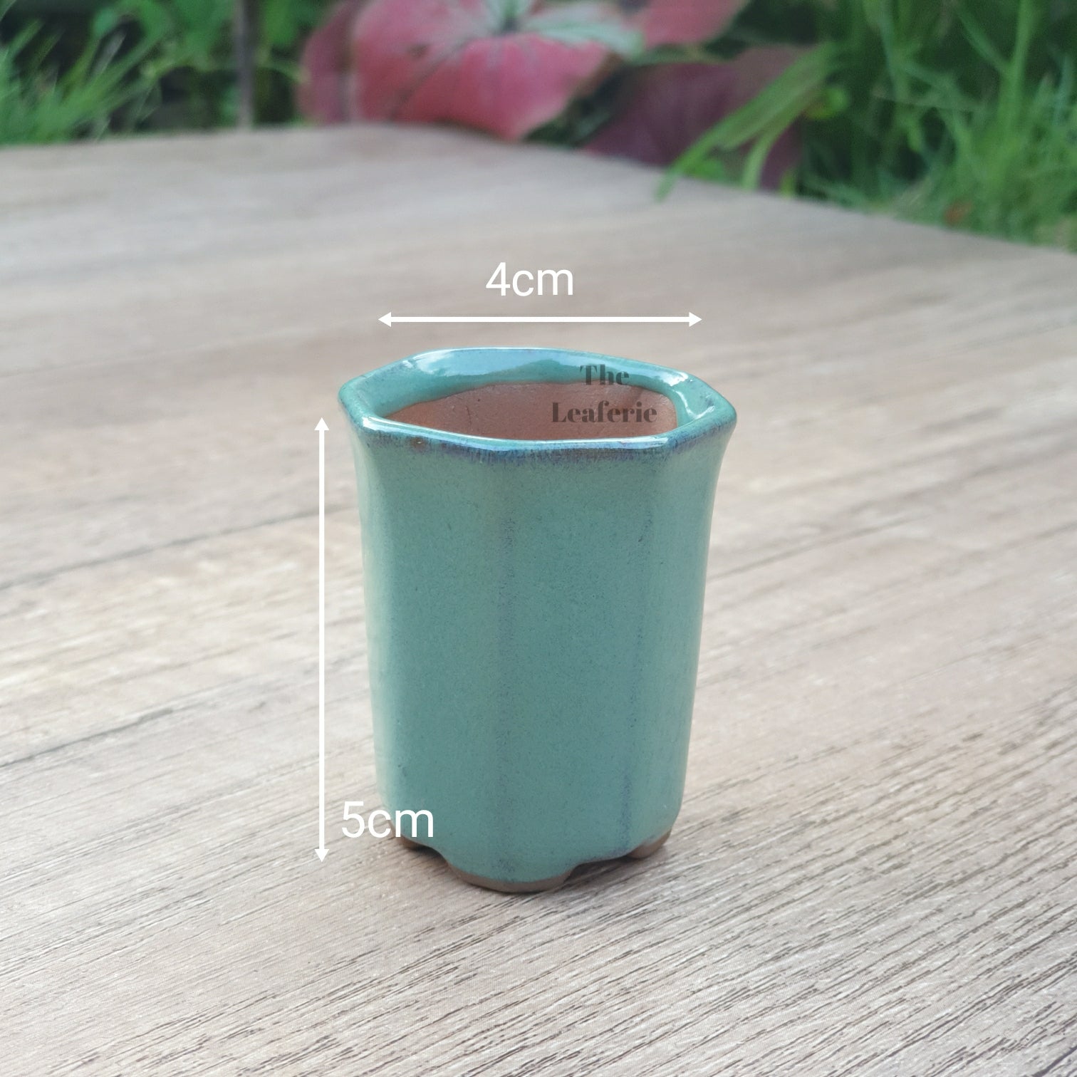 Petit Bonsai Pot (Series 7)