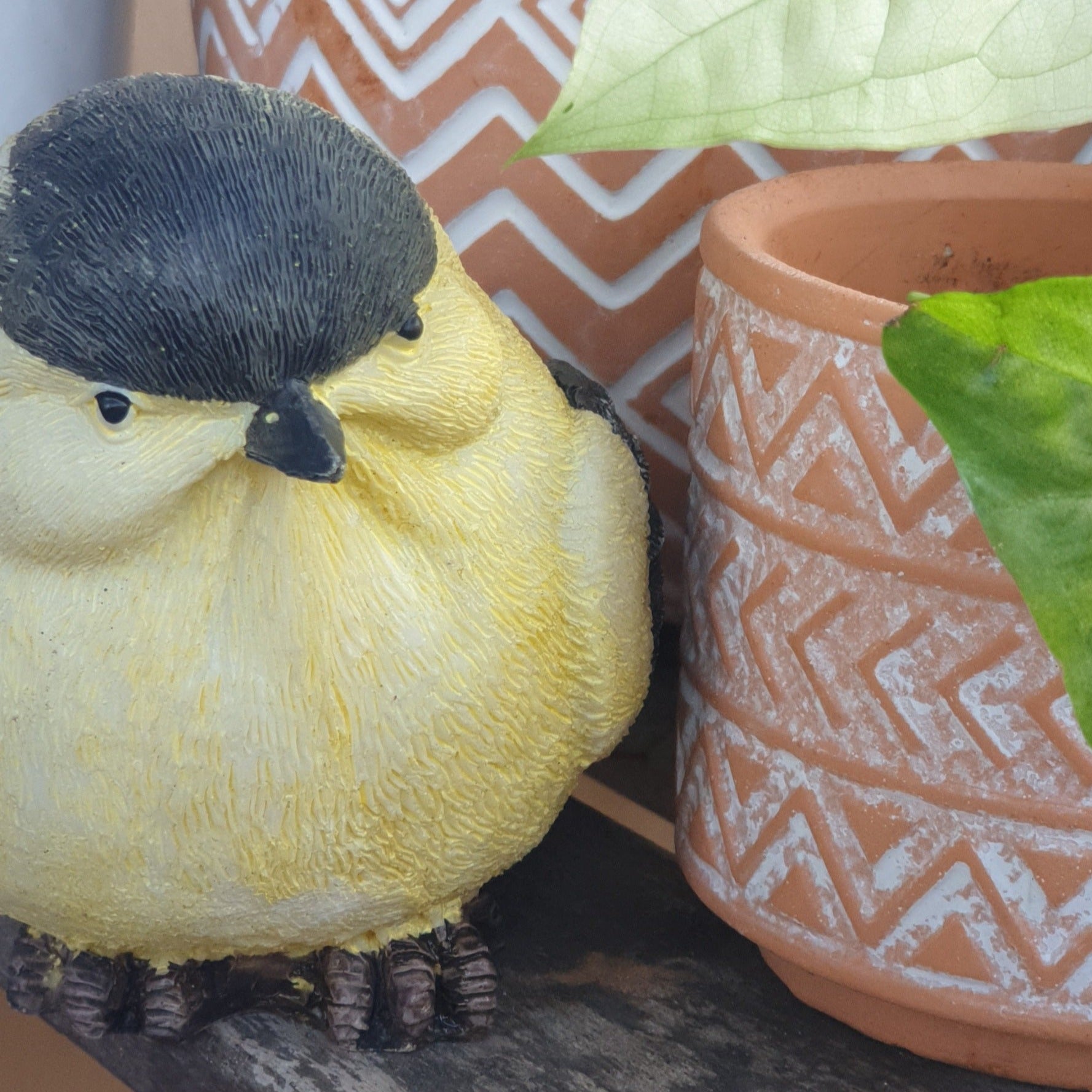 Birds Garden Decorations (Set of 6 birds)