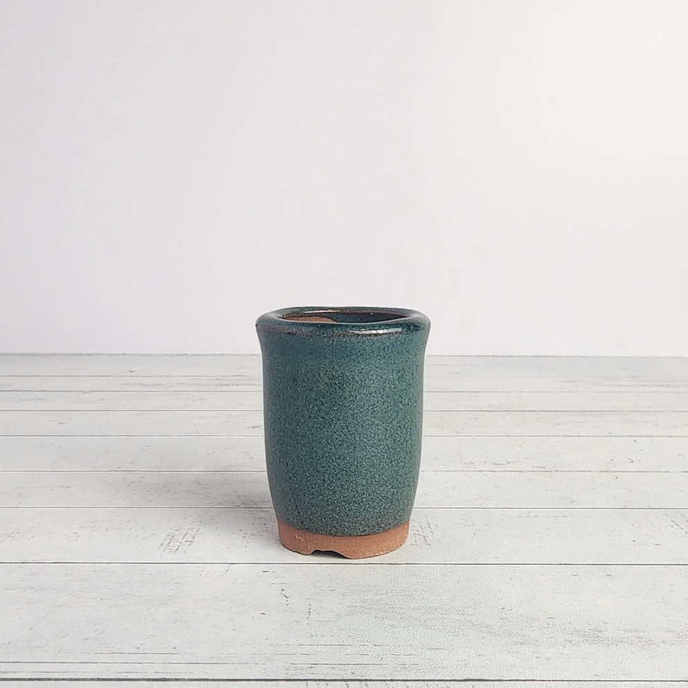 Petit Bonsai Pot (Series 5)