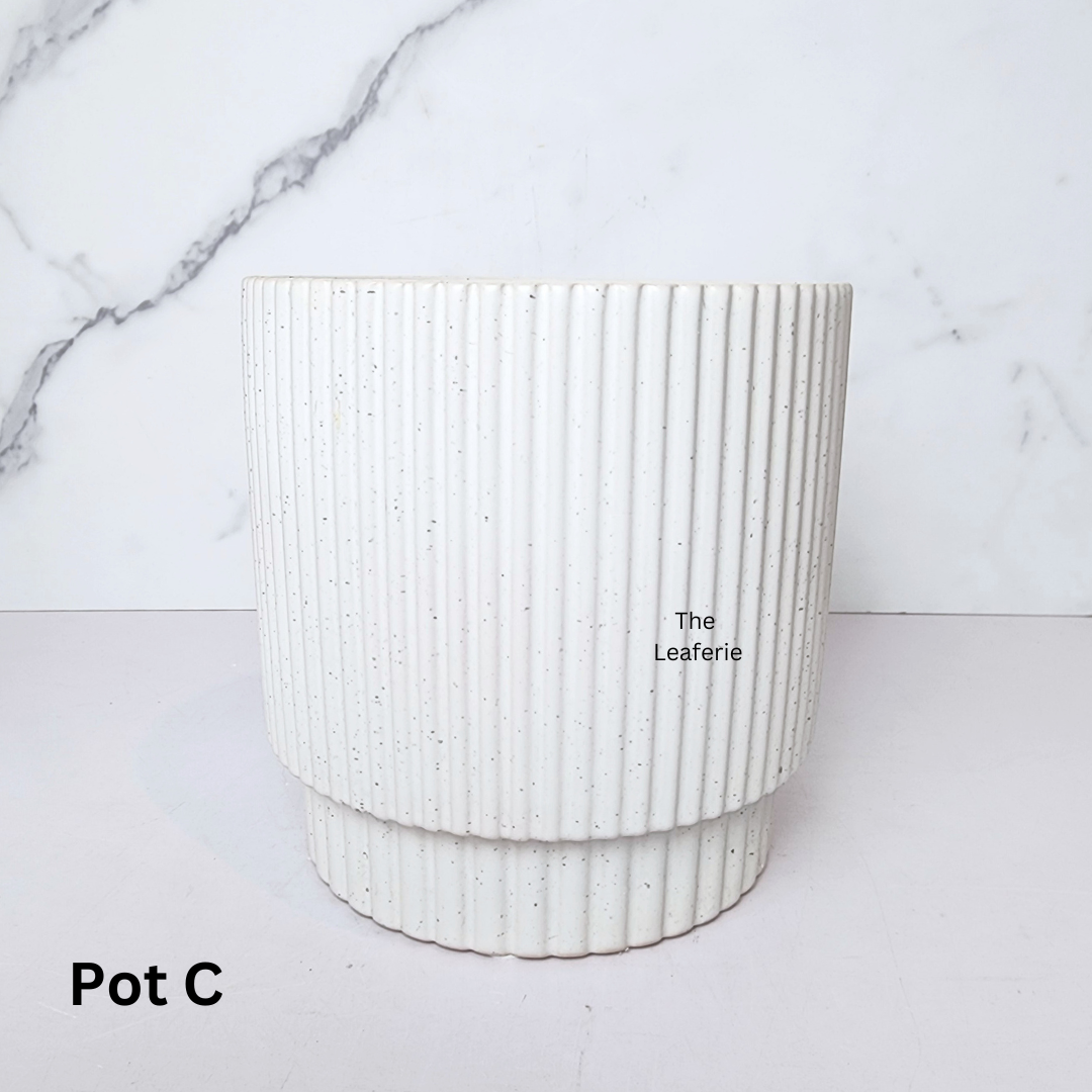 Sonnet Flowerpot (3 Colours)