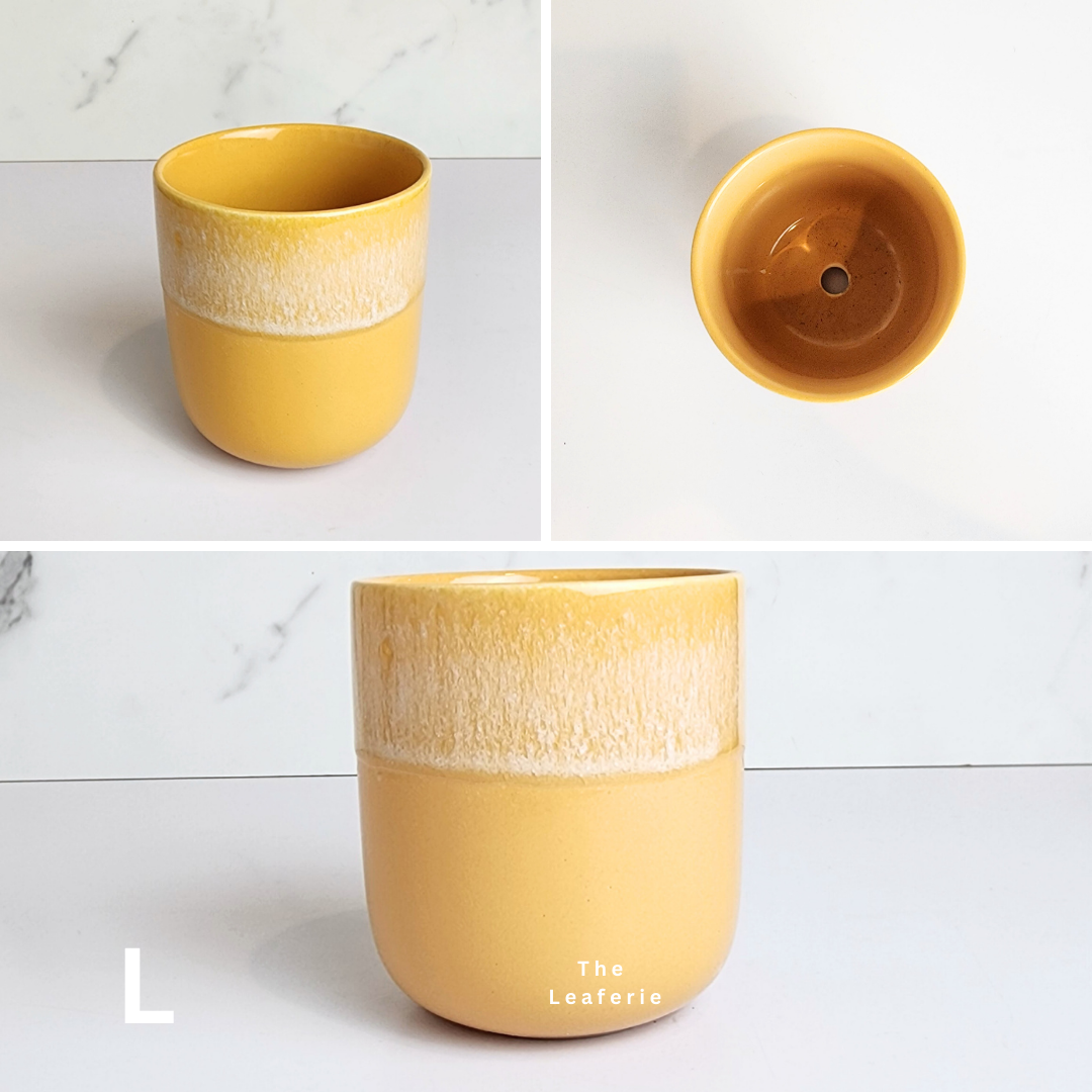 Petit Flowerpots (Series 10)