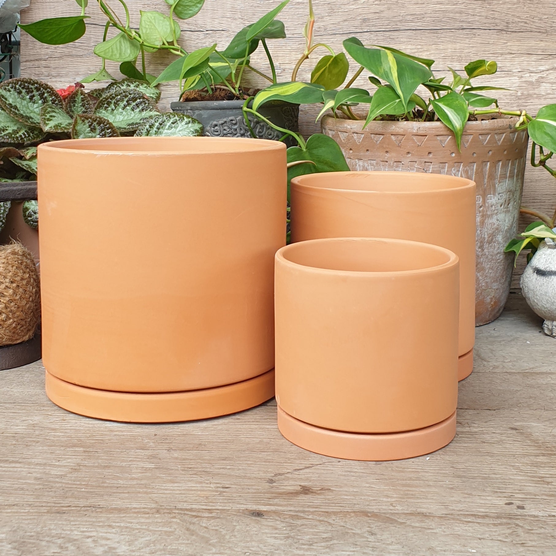 Terracotta E Flowerpot