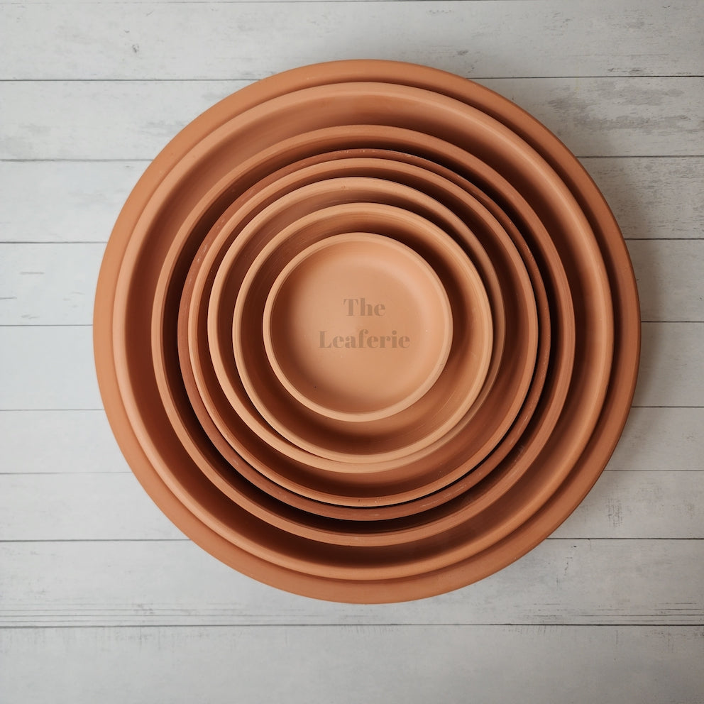 Terracotta Round Trays (7 Sizes)