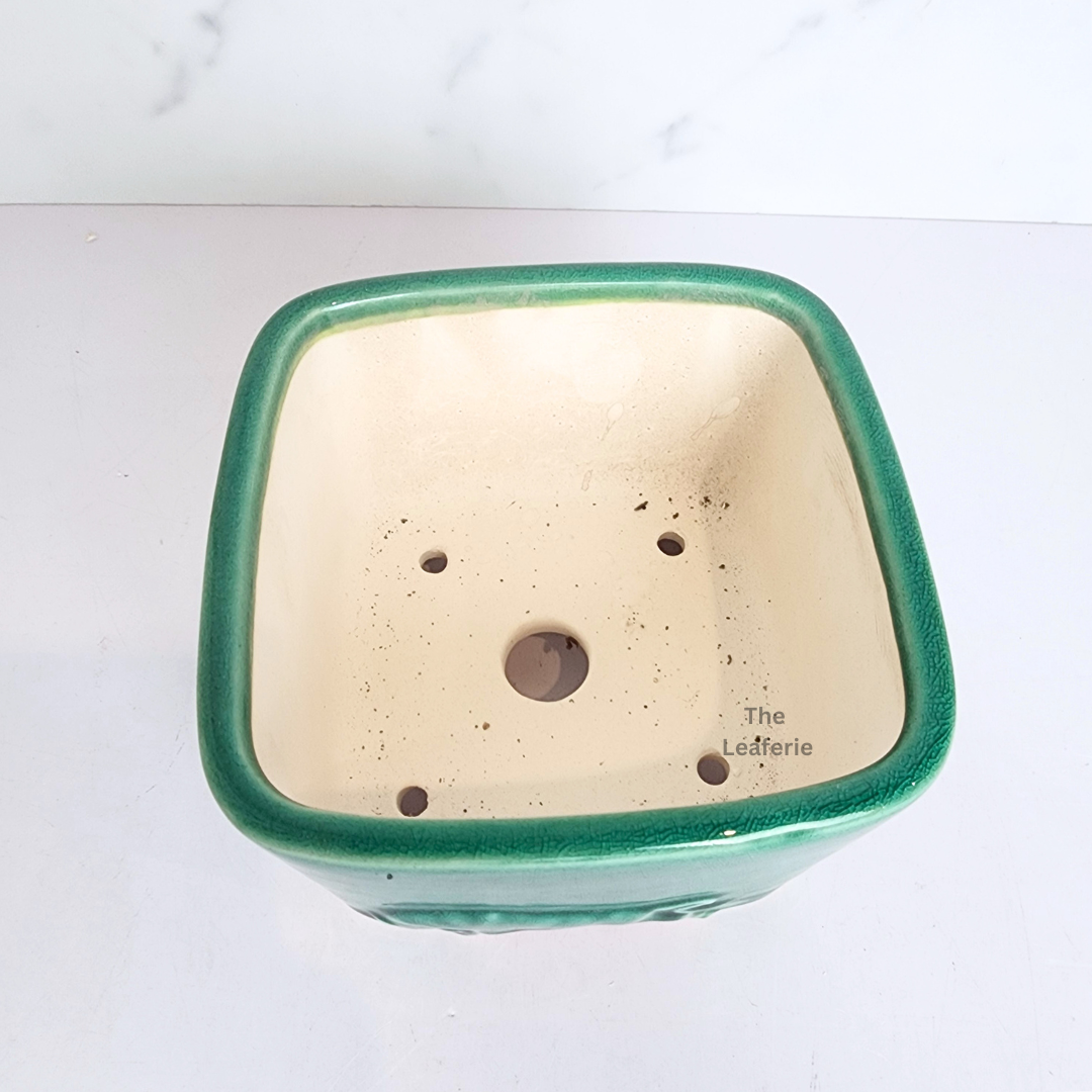 Bonsai Flowerpot (Series 62) Square