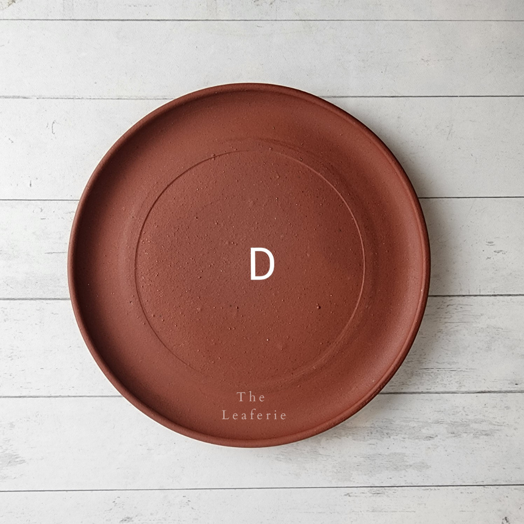 Zisha Trays (6 Sizes - Suitable for Bonsai Pots/Trays)