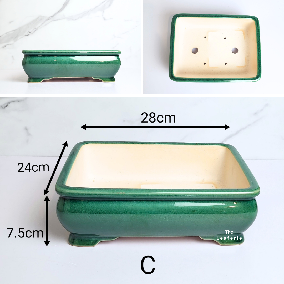 Bonsai Tally Flowerpot (Series 4) Rectangular 3 designs