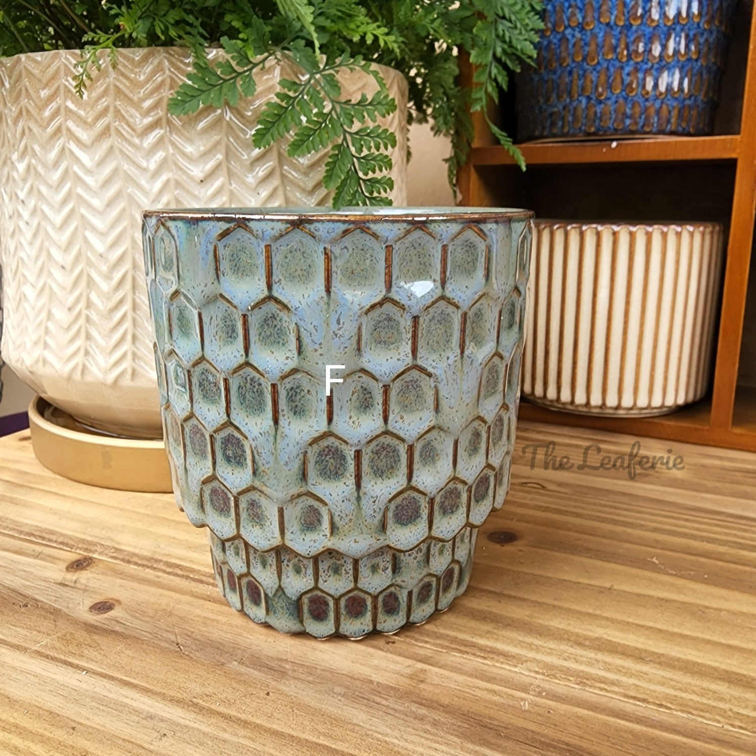 Mini Flowerpots (Series 2) 10cm