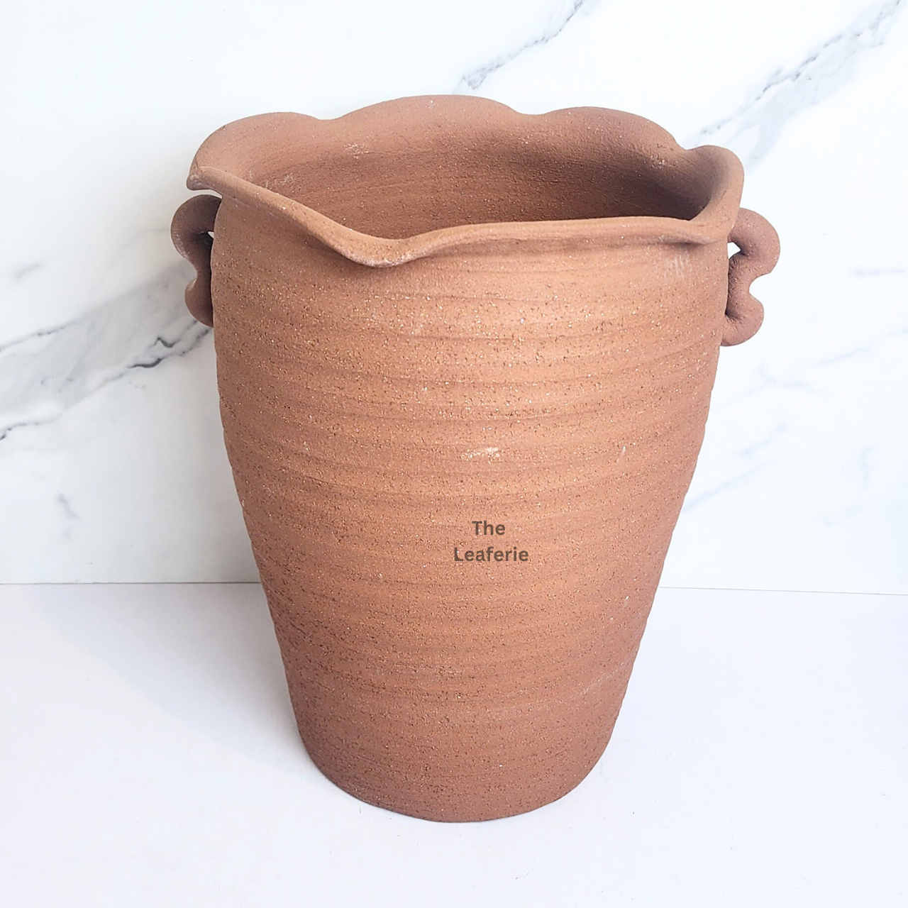 Yucca Tall Terracotta Flowerpot