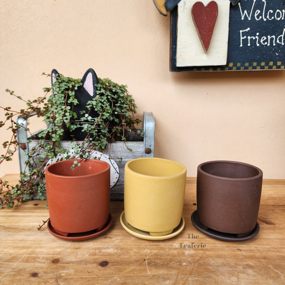 Noemie Mini Bonsai Pot (Series 1)