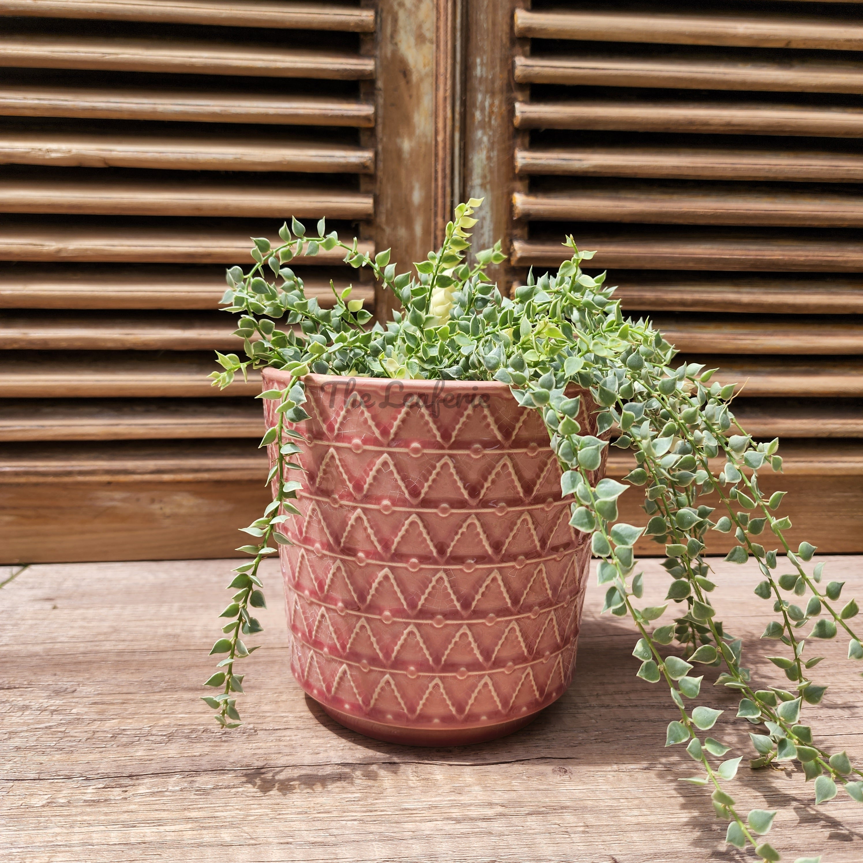 Linz Flowerpot