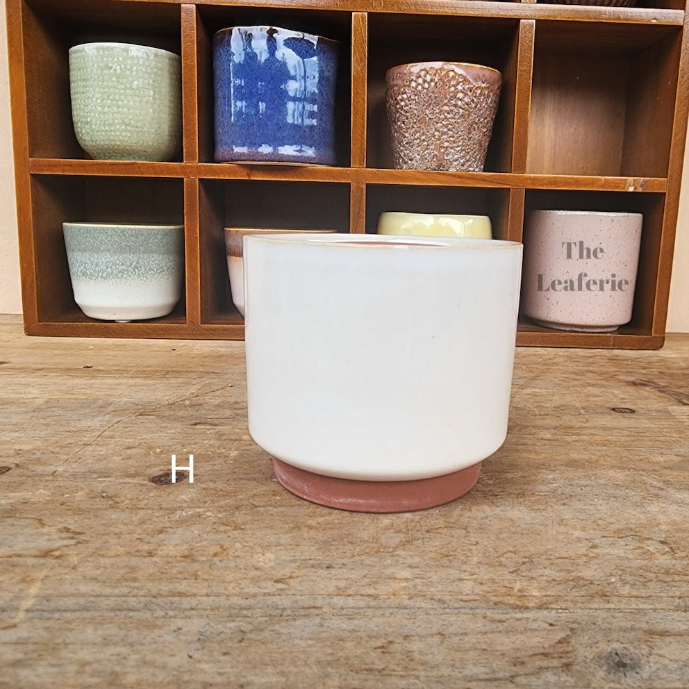 Petit Flowerpots (Series 8)