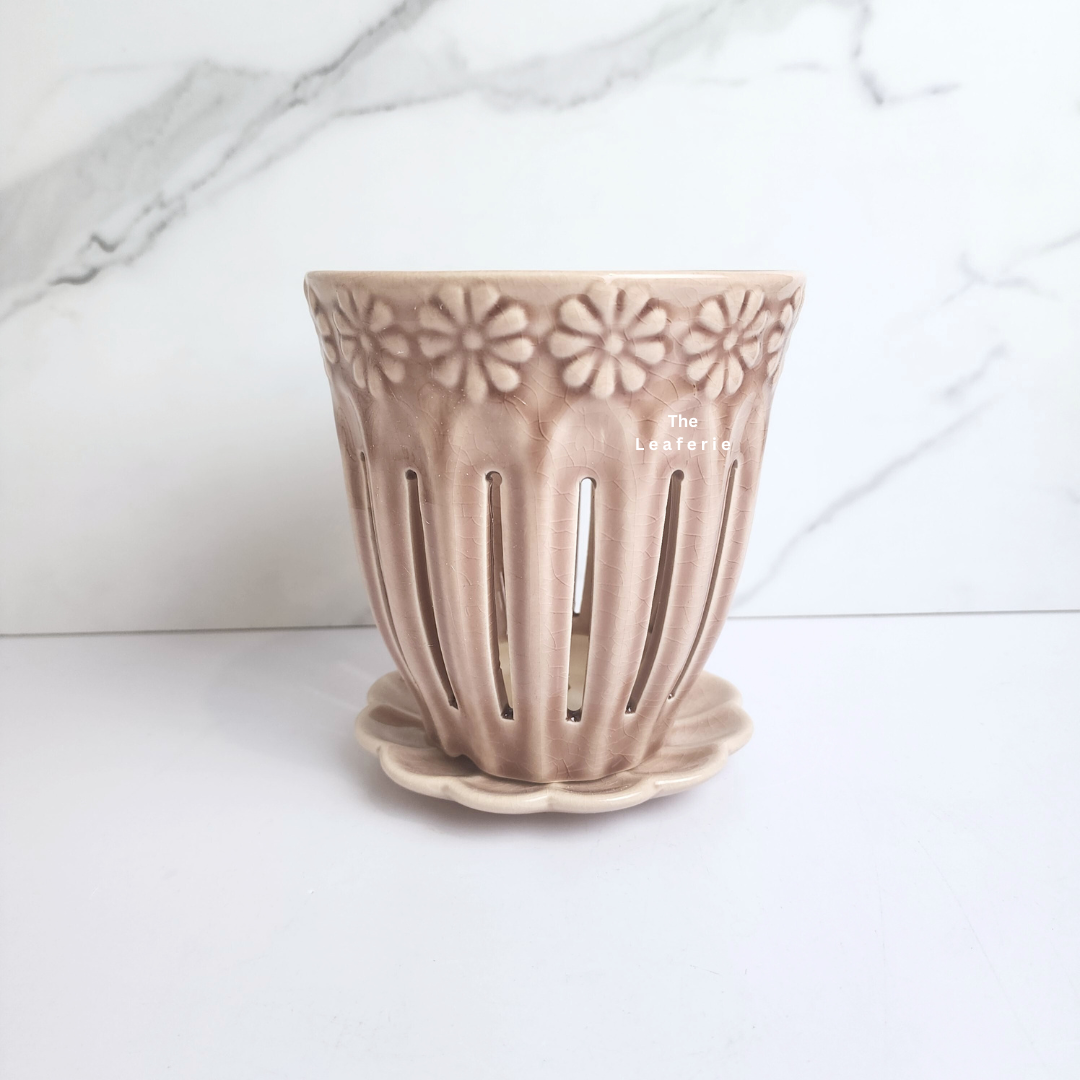 Leia Orchid Flowerpot