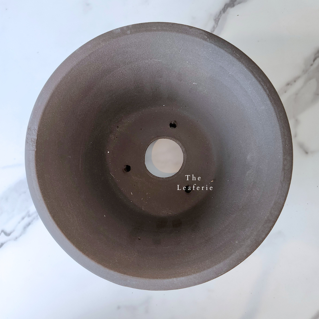 Bonsai Flowerpots (Series 20)